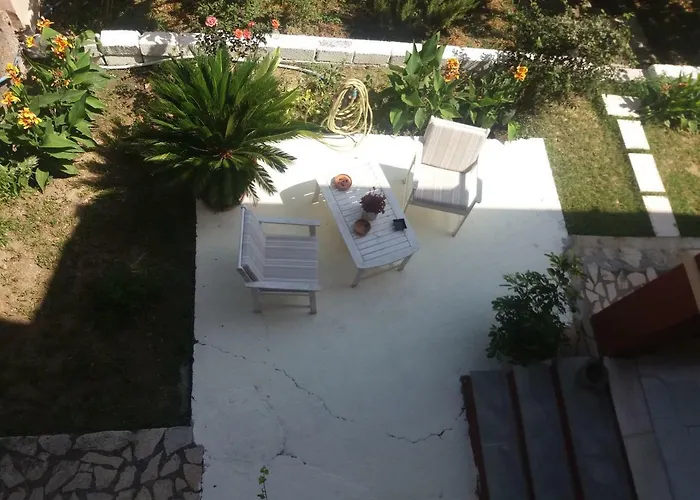 Home Nikolas