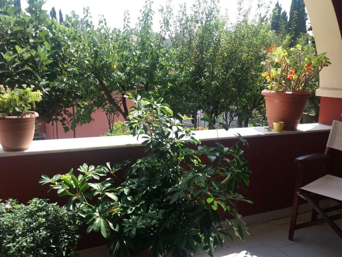 Nikolas Apartamento *